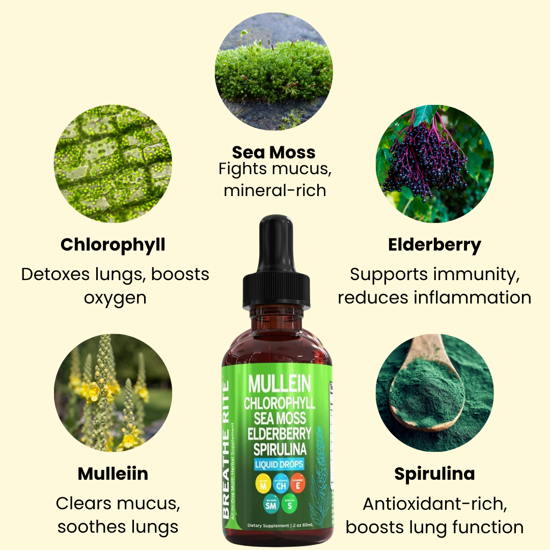 Breathe Clear Lung Support Drops